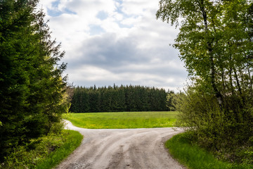 Weg durch den Wald für Forstwirtschaft