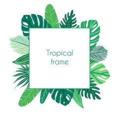 Vector  square frame with leaves of tropical plants. Exotic monstera, banana, palm, hibiscus. Illustration in a flat style © Anastasiia Trembach