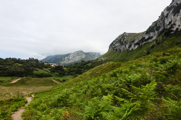 Naklejka premium Beautiful mountain landscape, northern Spain