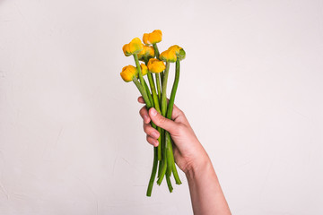 A female hand is holding a bouquet of water lilies with yellow buds and long green stems. Beautiful colorful flowers for a holiday. Gift Card. View from above