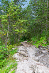 Road to the peak of Olympus mountain. Tracking route for tourists. Greece