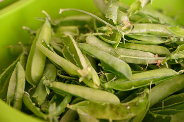 Empty green pea pods pods.