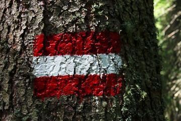 Flagge &Ouml;sterreichs