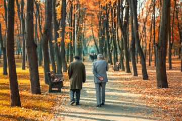 Two senior friends man walking along beautiful colorful autumn city park. Pair of old age persons...