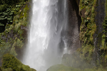 Fototapeta na wymiar waterfall in south forest 2