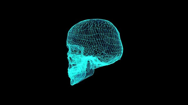 3D animation. Rotating model of a human skull. Nano technologies.