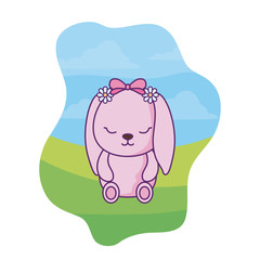 cute little bunny baby in landscape