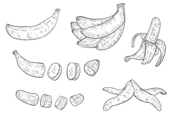 Set of hand drawn sketch banana isolated on white background. Vector vintage retro illustration.