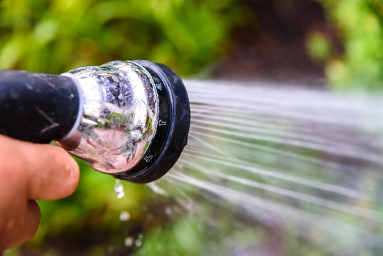 A Man Irrigates His Garden With A Pressure Hose Spraying Water On The Plants.