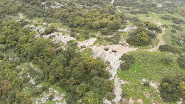 The ruins of the late Hellenic Jewish settlement Hurvat Sumak on Mount Carmel, Israel. View from the drone.