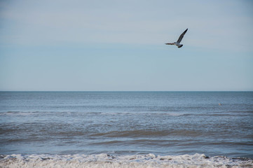 Playa 6