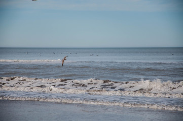 Playa 7