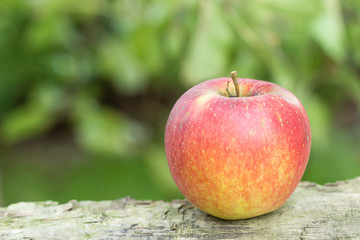 Ripe, juicy  apple on a table in the garden.
