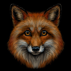 Fox. Graphic color portrait of a  Fox's head on a black background.