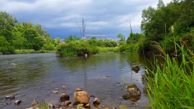 Beautiful Flowing River With Dragonfly Flying Over Water.  View From River Shore in the Summer With Insect Flying Around.