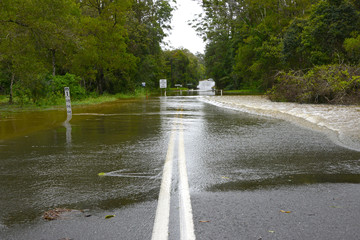 flooded highway in australian rainforest after heavy rain