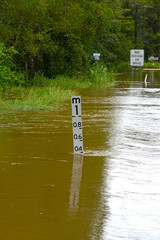 flooded highway in australian rainforest after heavy rain