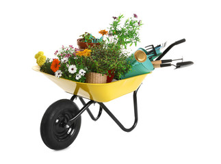 Wheelbarrow with flowers and gardening tools isolated on white - obrazy, fototapety, plakaty