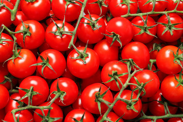 Fresh organic cherry tomatoes as background, closeup