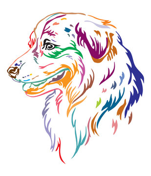 Colorful decorative portrait of Australian Shepherd vector illustration