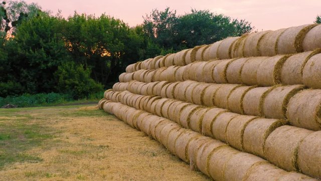 Aerial close-up side view of the roll haystacks at sunset