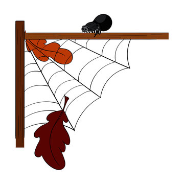 Border Frame Corner Web with Spider and Oak Leaves