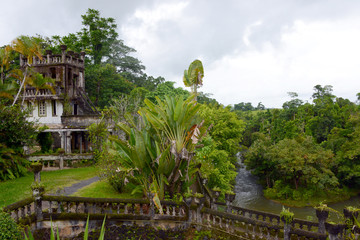 overgrown ruin in lush green rainforest