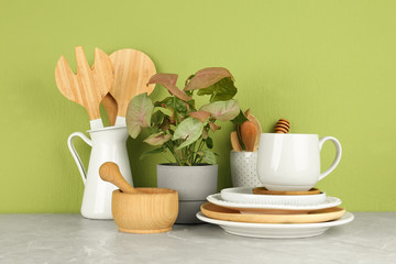 Green plant and different kitchenware on table near color wall. Modern interior design