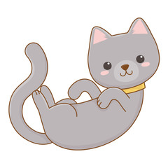 Isolated cat cartoon design vector illustrator
