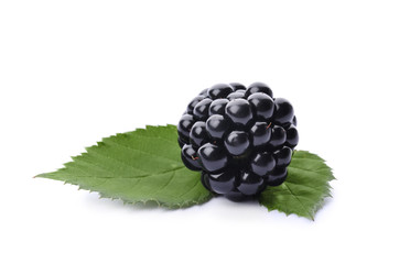 Tasty ripe blackberry with green leaves on white background