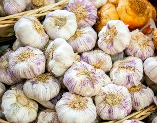 Garlic at the market display stall