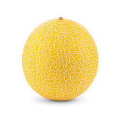 yellow cantaloupe melon isolated on white background. full depth of field