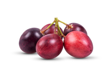 Mango yawning lime boo or Carissa carandas Linn,Karanda, Carunda isolated on white background. full depth of field