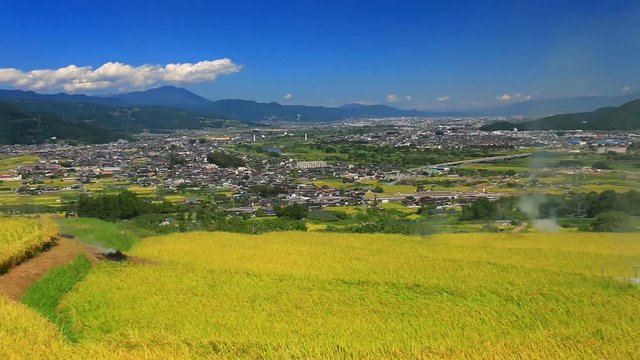 Zoom out view of field