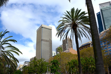 Fototapeta na wymiar view to Sydney skyline from botanical garden