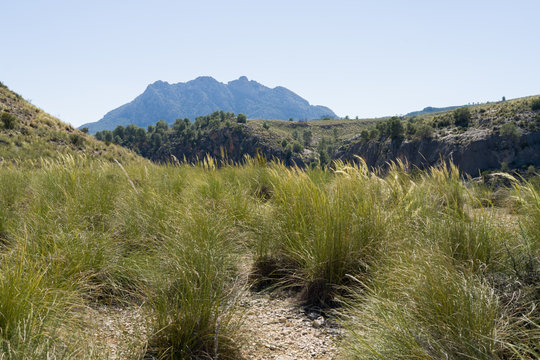 Beautiful alpine landscape, green mountain enviroment and blue sky in a sunny day