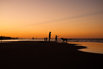 silhouette of people on beach at sunset