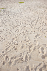 Fototapeta na wymiar Sand texture background, natural sand at the beach close up.