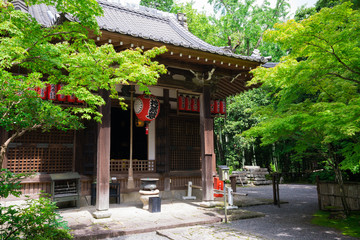 Fototapeta premium 京都 赤山禅院 夏 