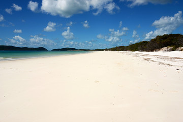 empty tropical beach with white sand on whitsunday island
