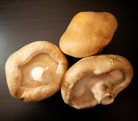 Shiitake mushrooms on dark background.
