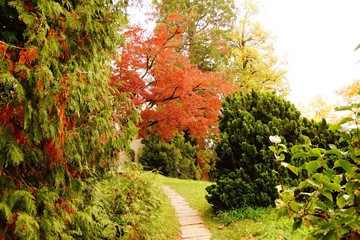 Autumn colours in Lucerne, Switzerland 