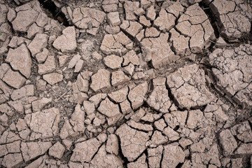Dry and broken clay ground during drought season, concept of global warming problem.