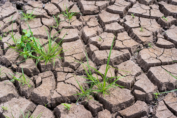 Dry and broken clay ground during drought season, concept of global warming problem.