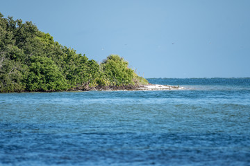 View of a coastal island in Florida