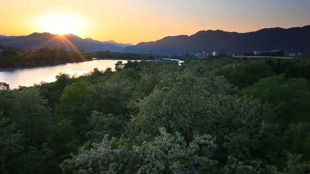Trees on bank of Chikuma River at sunset, Ueda, Japan