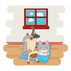 vector illustrator vector illustrator vector illustrator