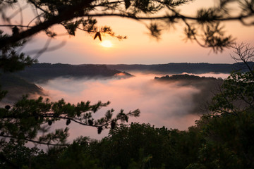 Fototapeta na wymiar Red River Gorge Kentucky foggy morning sunrise