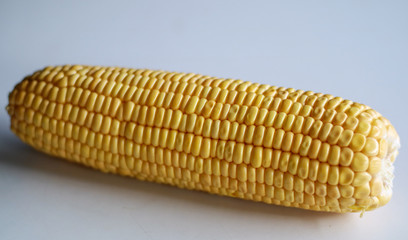 Peeled yellow corn cob on white background.