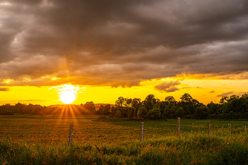 sunset over field
